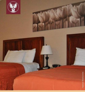 HOTEL PRIMAVERA BOUTIQUE